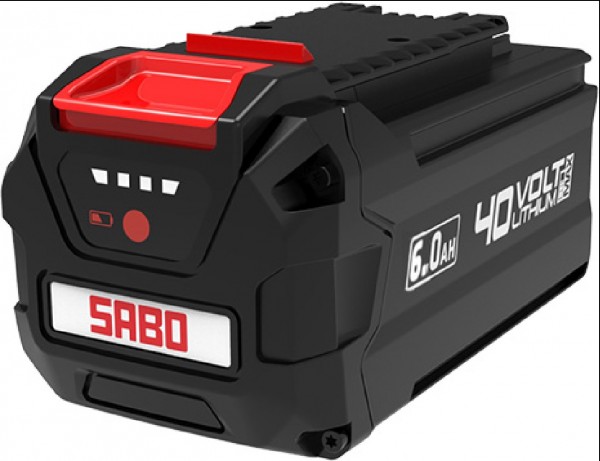 19SAA12250.jpg